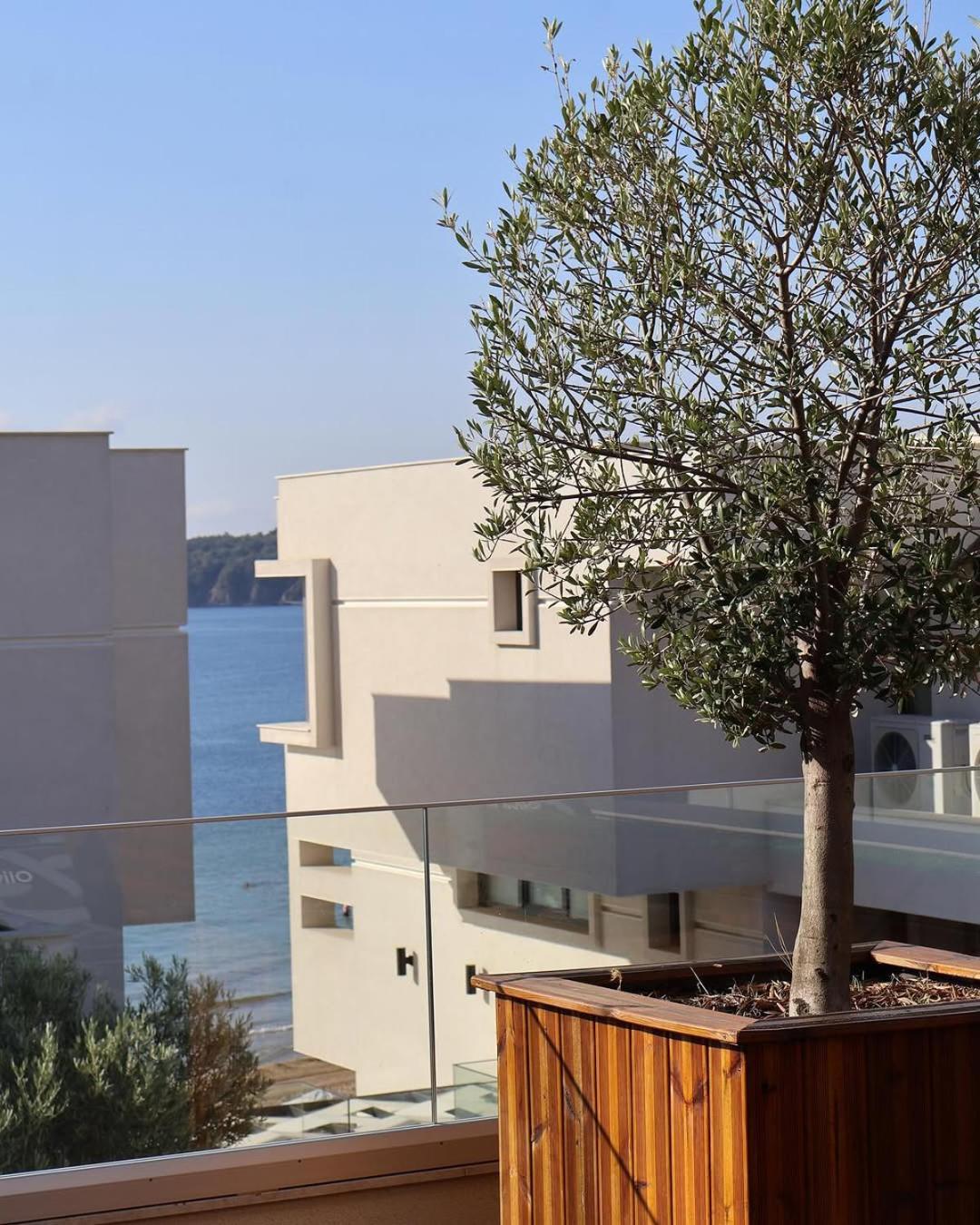 Olive Villas Beach Hotel Созополь Экстерьер фото